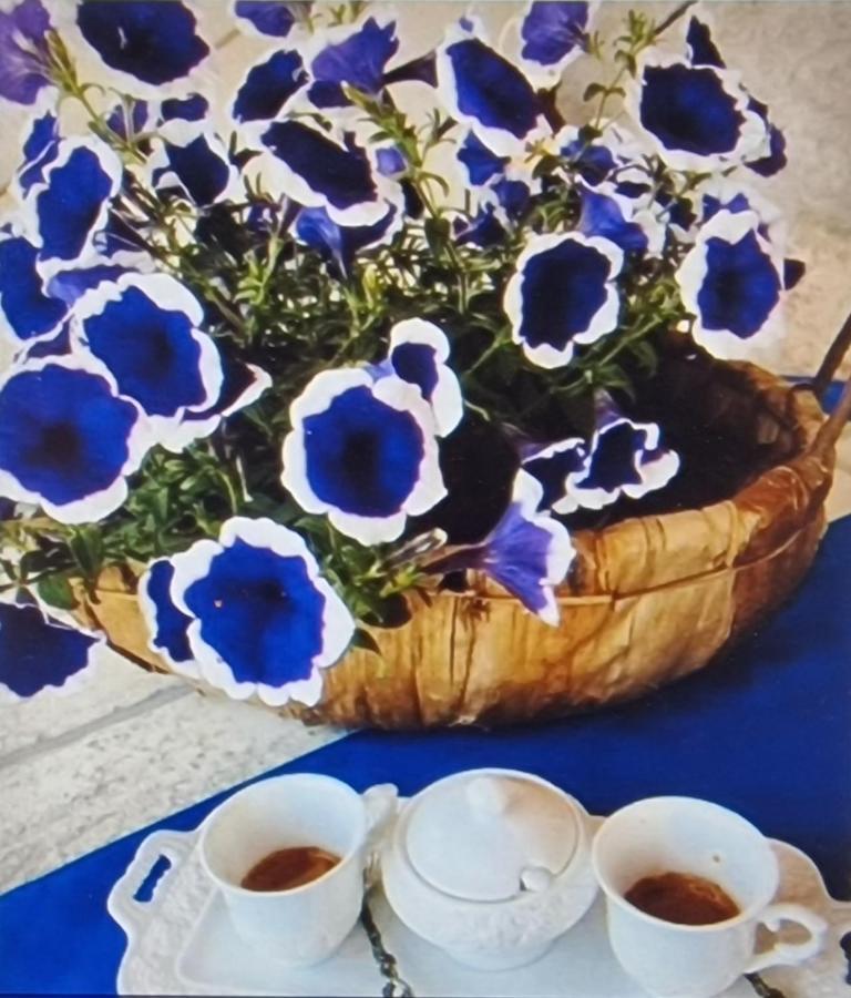 텔티 Rifugio Monte Pino 빌라 외부 사진